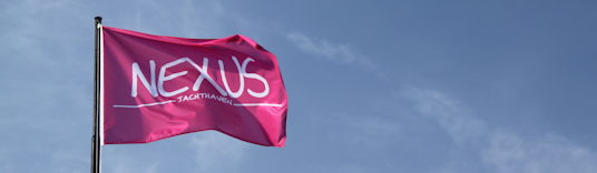 Vlag
